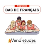 Visuel montrant une image d'un groupe de jeunes travaillant le bac de français sur des cahiers - Vend'études