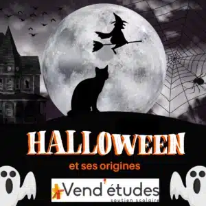 Visuel montrant un paysage effrayant d' Halloween : une sorcière dans la nuit, un chat noir, la lune, un château hanté... ce visuel présente l'article blog de Vend'études sur Halloween et ses origines.